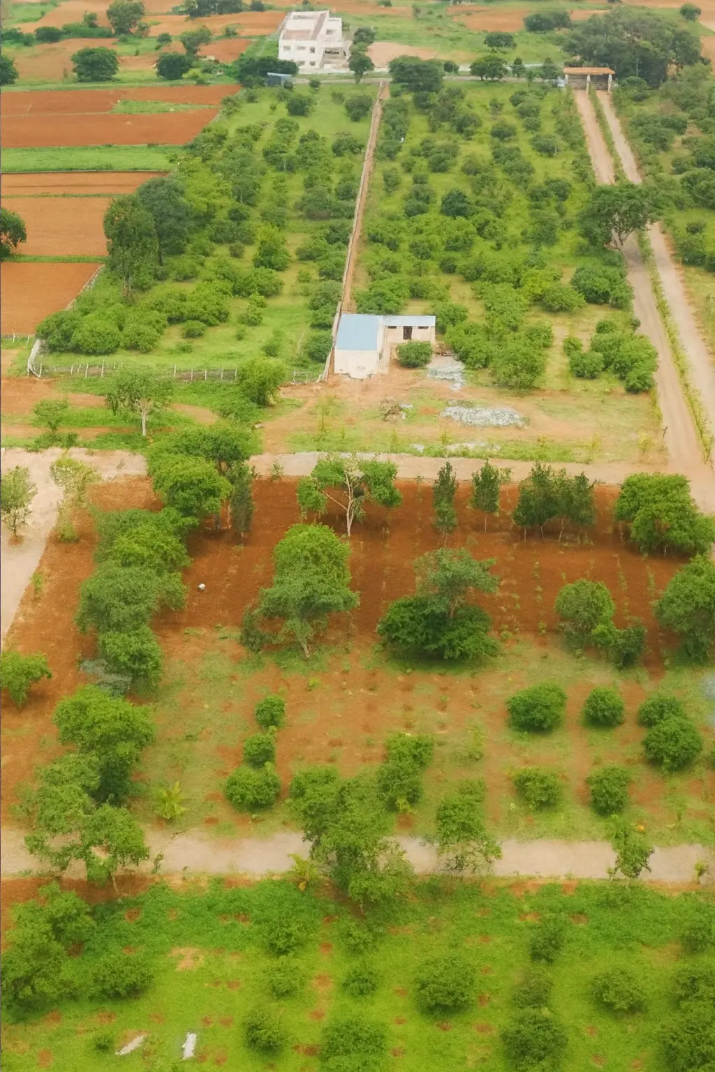 Agricultural farmland and farm plot marketing services for real estate promoters